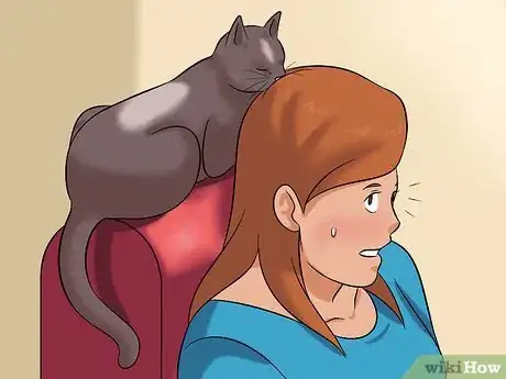 Image titled Stop a Cat from Chewing on Your Hair Step 1