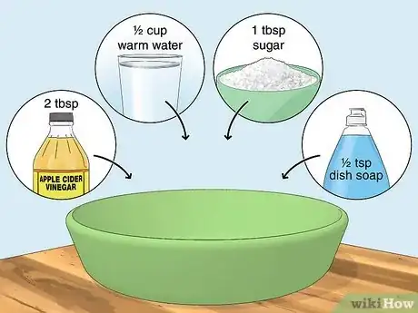 Image titled Use Home Remedies to Get Rid of Gnats Step 1