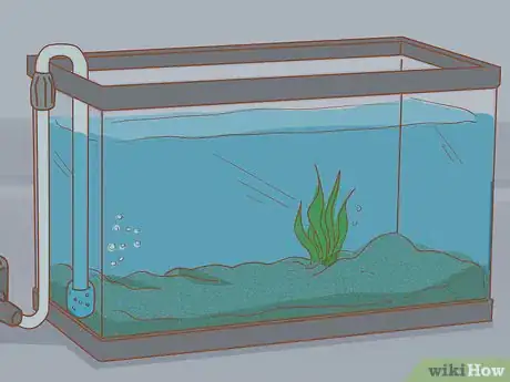 Image titled Add Fish to a New Tank Step 8