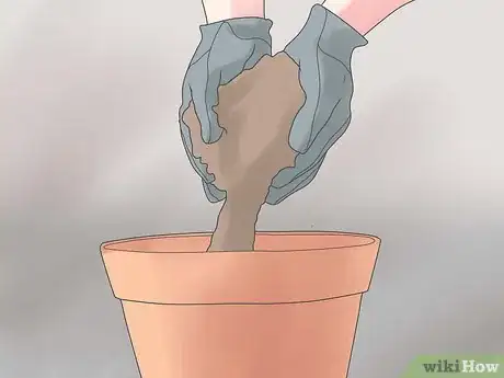 Image titled Repot a Cactus Step 10