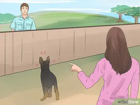 Image titled Train a German Shepherd to Be a Guard Dog Step 12