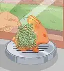 Grow a Chia Pet