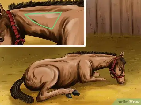 Image titled Vaccinate Horses Step 12
