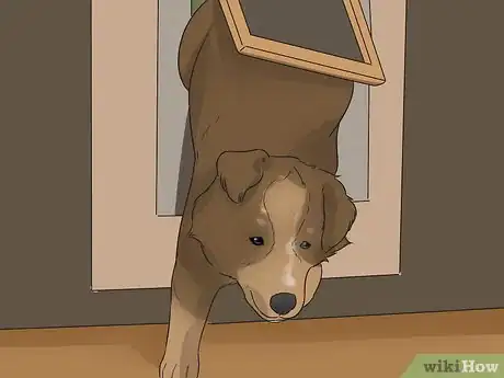 Image titled Train Your Dog to Use a Dog Door Step 11