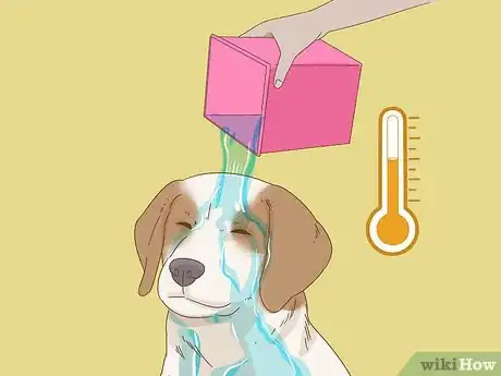 Image titled Wash a Dog Afraid of Water Step 4