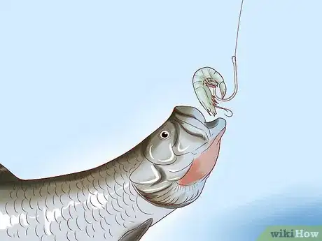 Image titled Make Fish Bait Without Worms Step 11
