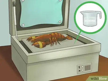 Image titled Kill Lobster Step 10