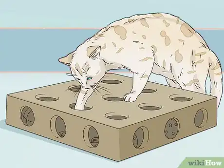 Image titled Take Care of a Bengal Cat Step 12