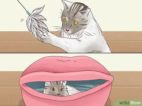 Image titled Get a Cat to Stop Meowing Step 12