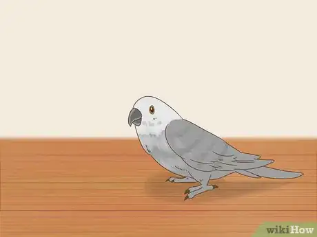 Image titled Know if Your Bird Is Sick Step 11