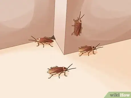 Image titled What to Do if You See a Cockroach Step 1