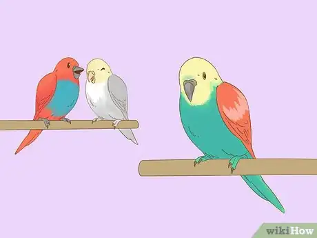 Image titled Know if Your Bird Is Sick Step 12