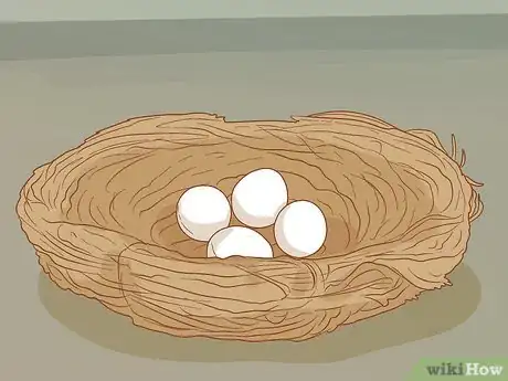 Image titled Tell if a Bird Egg Is Infertile Step 6