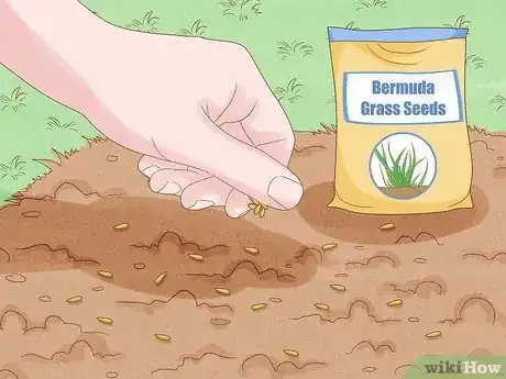 Image titled Make Bermuda Grass Thicker Step 6