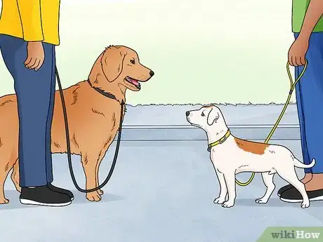Image titled Stop Dogs from Barking at People Step 8