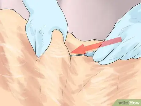 Image titled Give Subcutaneous Fluids to a Cat Step 11