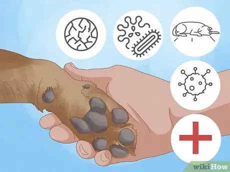 Image titled Stop a Dog from Licking Its Paws with Home Remedies Step 1