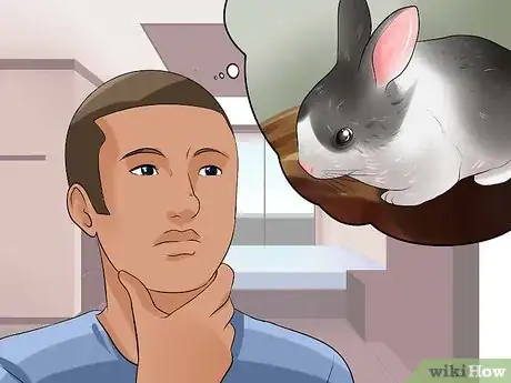 Image titled Teach a Rabbit Not to Scratch Step 11