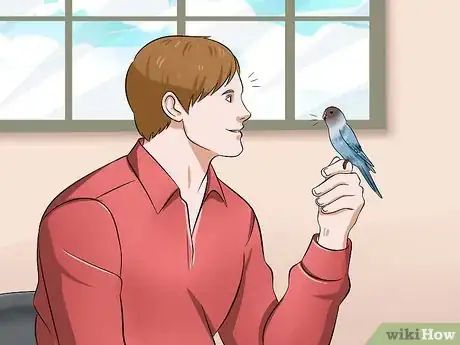 Image titled Teach Your Budgie to Talk Step 7