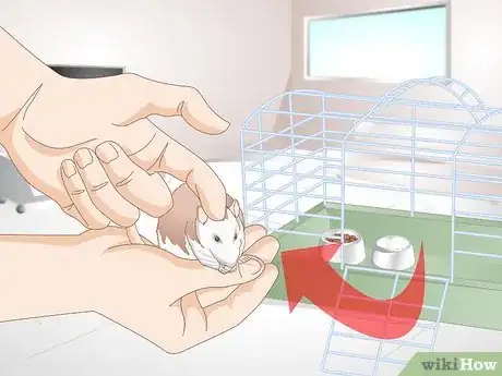 Image titled Help Your Fat Rat Lose Weight Step 10