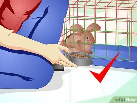 Image titled Make Your Bunny Come to You when You Open the Cage Step 2
