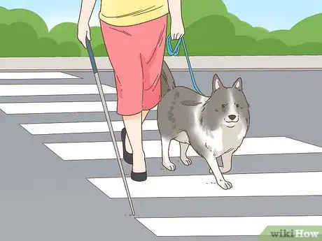 Image titled Get a Service Dog if You're Blind or Visually Impaired Step 11