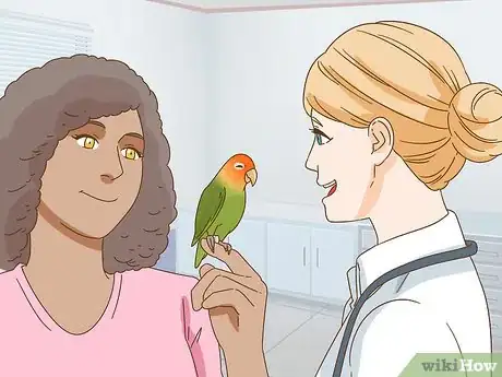 Image titled Keep a Lovebird As a Pet Step 26