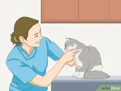 Image titled Get Your Cat to Know and Love You Step 8
