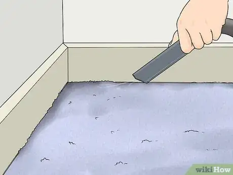 Image titled Clean Carpet Edges Step 5