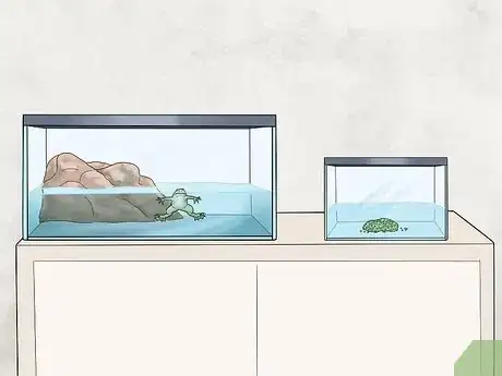 Image titled Care for African Clawed Frog Tadpoles Step 1