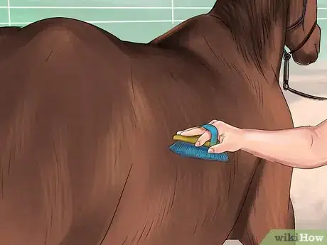 Image titled Use a Curry Comb on a Horse Step 12