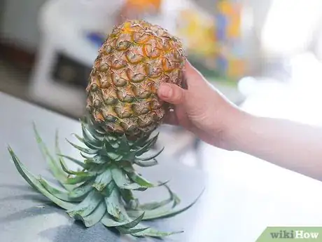 Image titled Ripen an Unripe Pineapple Step 3