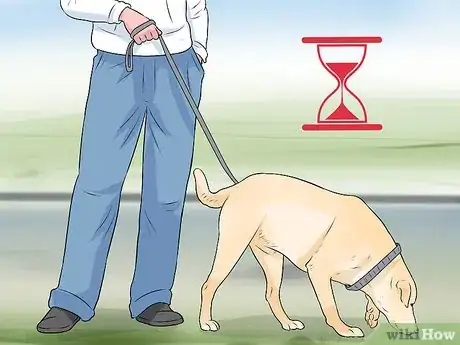 Image titled Get Your Dog to Pee on Command Step 5
