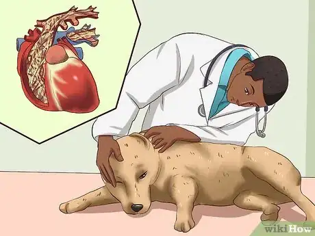 Image titled Treat Worms in Dogs Step 10