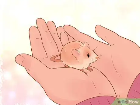Image titled Avoid Frightening Your Pet Mouse Step 7