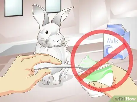 Image titled Care for a Rabbit with GI Stasis Step 11