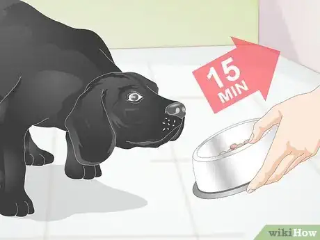 Image titled Create a Feeding Routine for Your Dog Step 3