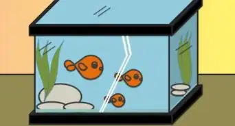 Draw Fish in a Fish Tank