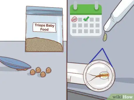 Image titled Care for Triops Step 9