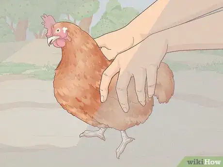 Image titled Catch a Chicken Step 3