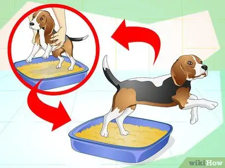 Image titled Litter Train a Dog Step 8