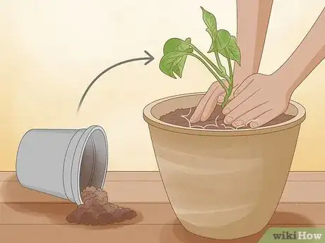 Image titled Propagate Your Plants Step 14