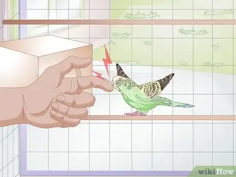 Image titled Tell when a Parakeet Is Sick Step 5