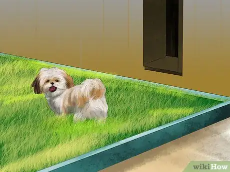 Image titled Housebreak Shih Tzu Puppies Step 6