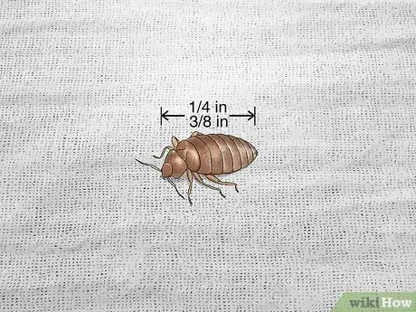 Image titled Identify Household Pests Step 2