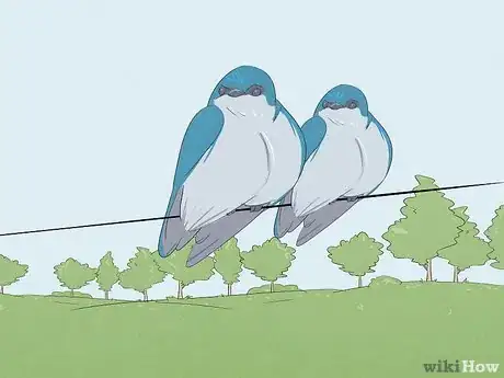 Image titled Attract Tree Swallows Step 6