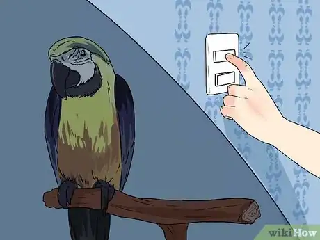 Image titled Train Parrots to Make Less Noise Step 8