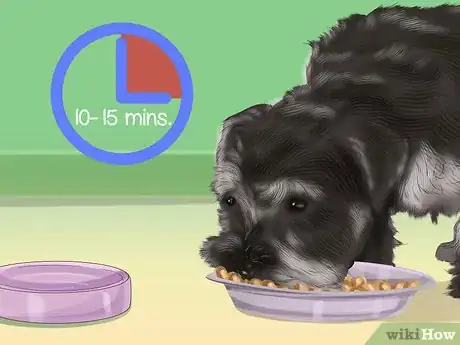 Image titled Care for a Miniature Schnauzer Puppy Step 10