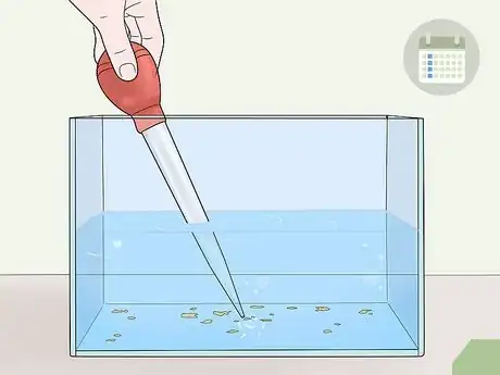 Image titled Care for African Clawed Frog Tadpoles Step 9
