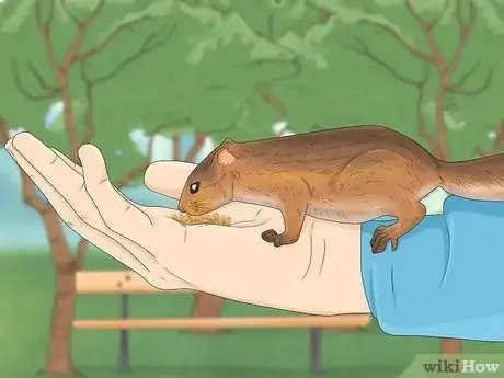 Image titled Keep a Pet Squirrel Step 16